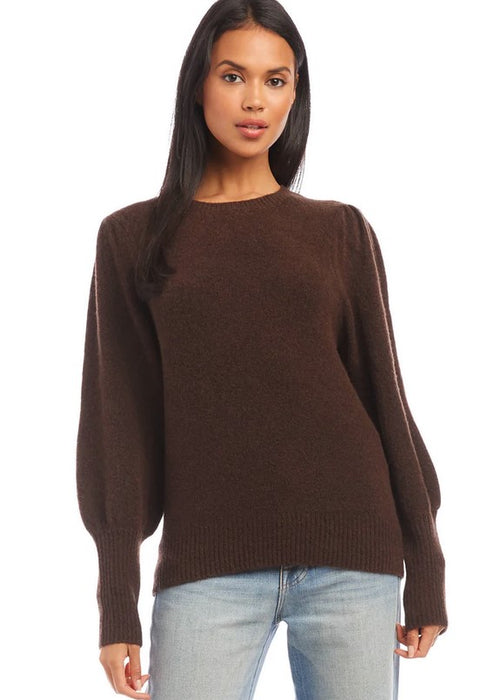 Fifteen Twnty Shirred Sleeve Sweater - Brown