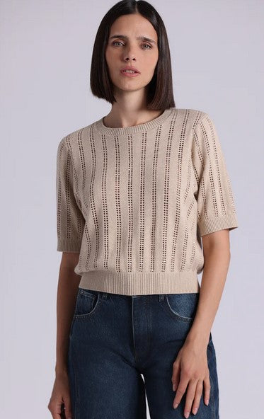 Minnie Rose Sparkle Short Sleeve Crew - Brown Sugar